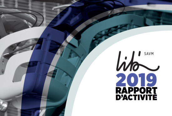 rapport-dactivite-2019