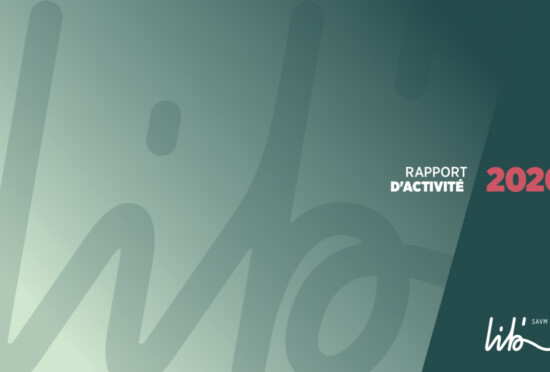 rapport-dactivite-2020