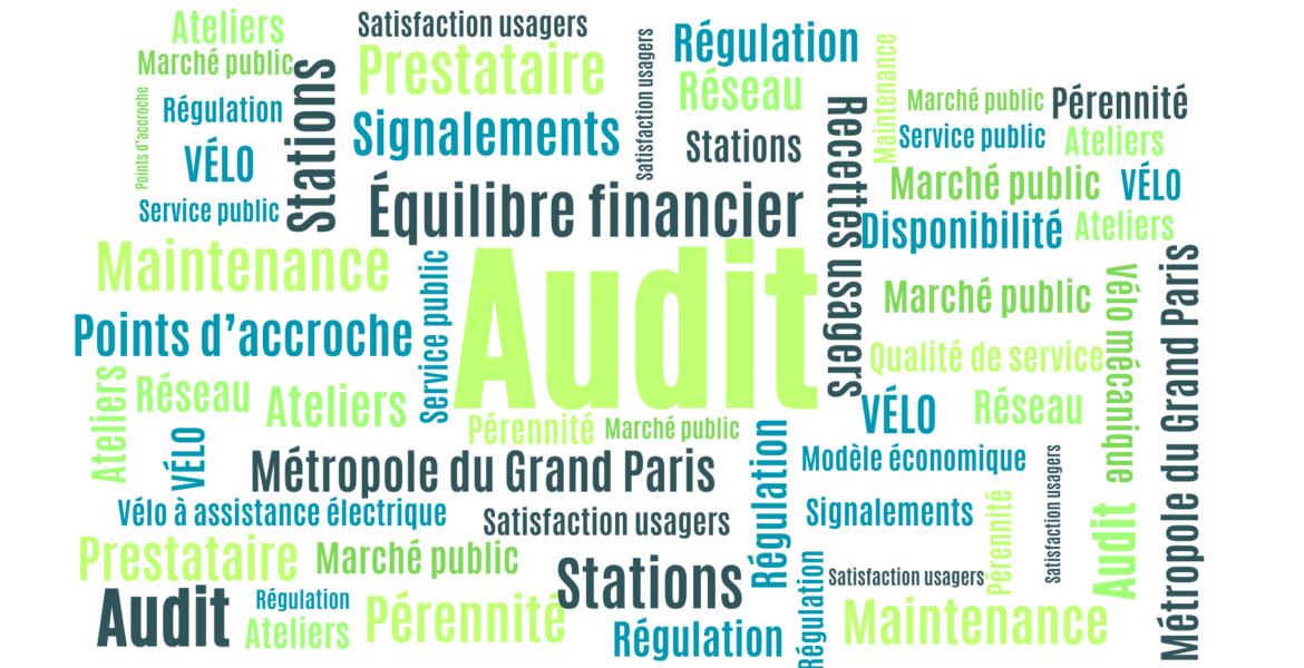 Nuage mots Audit