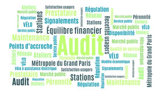 Nuage mots Audit